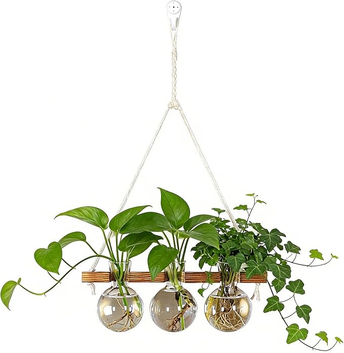 Plant Propagation Station Wall Hanging, Planter Terrariums with Wooden Stand for Hydroponics Plants and Cuttings, 3 Bulb Propagation Vases, Home Office Wall Decor, Gift for Plant Lovers