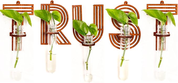 5 Sets Letter Wall Propagation Planters Test Tubes Wall Decor for Hanging Plants Clear Water Plant Vase Brown Wood Upletter Alphabet Functional Art Boho Trust Pack