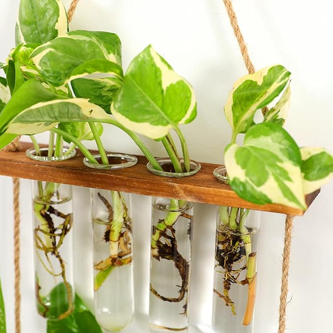 Hiuxume 2 Tiered Wall Hanging Planter, Wooden Stand with Glass Planter Test Tube Vase for Hydroponic Plant Propagation, Perfect for Indoor and Outdoor Decor