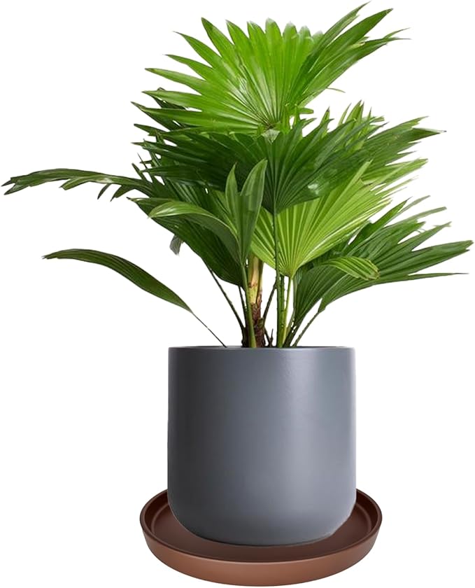 Yukfona Ceramic Plant Saucer Pot Tray 10 Inch, Planter Saucers 4 5 6 7 8 9 10 11 12 13 Inch for Indoors Outdoor, Durable Sturdy Flower Drainage drip Water Tray for Glazed Pots Base (10.7 Inch-Brown)