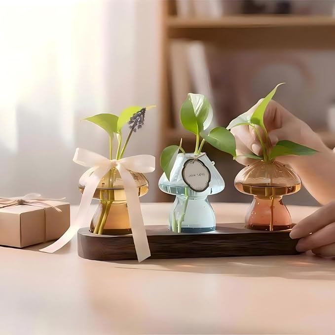 Plant Propagation Stations Mini Vase Set, Set of 3 Colored Glass Vases for Indoor Plants, Mini Plant Terrarium for Home Garden Window Office Mushroom Decoratioins