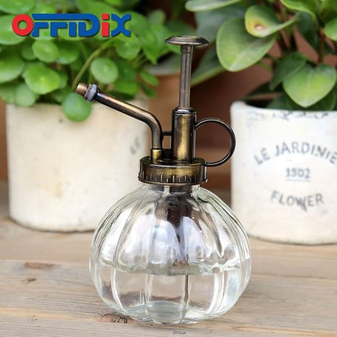OFFIDIX Glass Plant Mister,Small Plant Spray Bottle with Plastic Top Pump for houst Plant