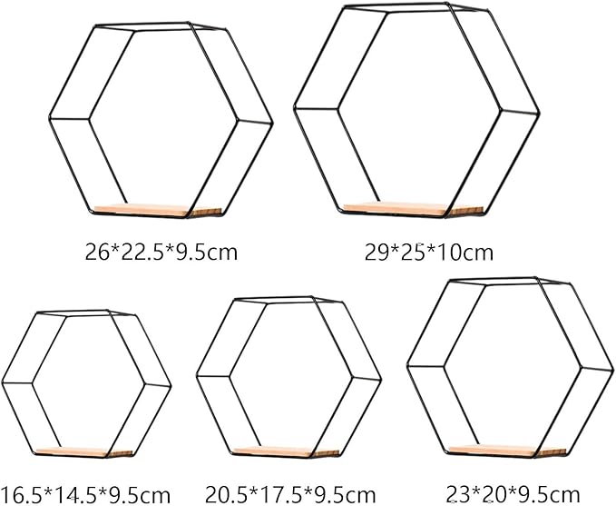 5 Pieces Hexagon Iron Wall Shelves Storage Rack Living Room Geometric Kitchen Bedroom Organizer for Mini Planter Displaying, Black