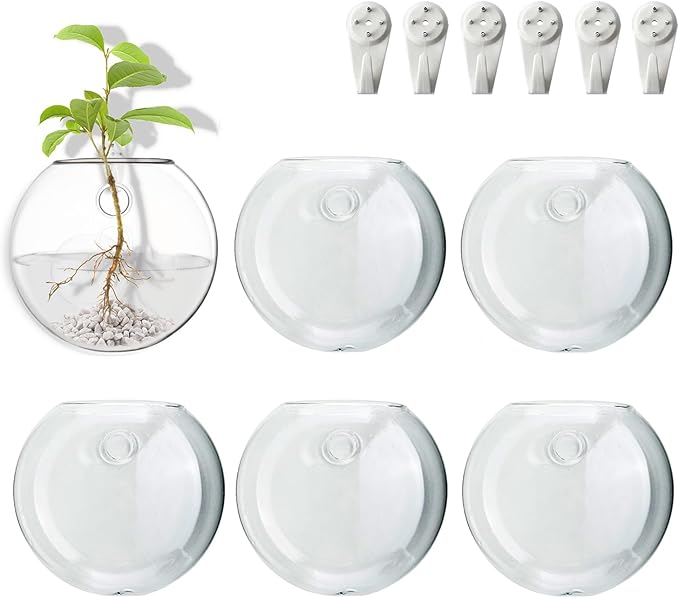 Wall Mount Plant Propagation Station - Clear Hydroponic Glass Vase, Oblate Planter for Indoor Plants | Perfect for Home, Office, Bathroom Decor | Gift for Plant Lovers (6)