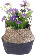 Woven Seagrass Belly Baskets with Handles for Planter Storage Flower Pot Cover Organizer&Laundry,Picnic Fruit&Grocery Baskets,Foldable Handmade Wicker Rattan Basket Hanging Decorative Baskets