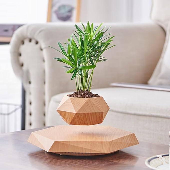 Magnetic Levitating Planter with Geometric Black Design for Home and Office Decorative Display (Wood)