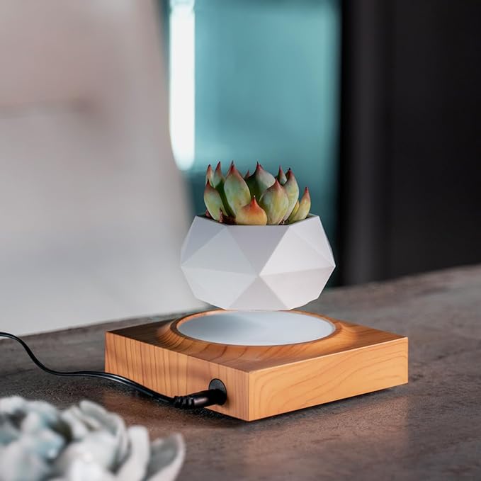 HCNT Levitation Air Bonsai Pot, Magnetic Levitating Mini Rotating Flower Pot Planters Suspension Floating Succulents Pot Sky-Garden Plant Potted for Home, Office