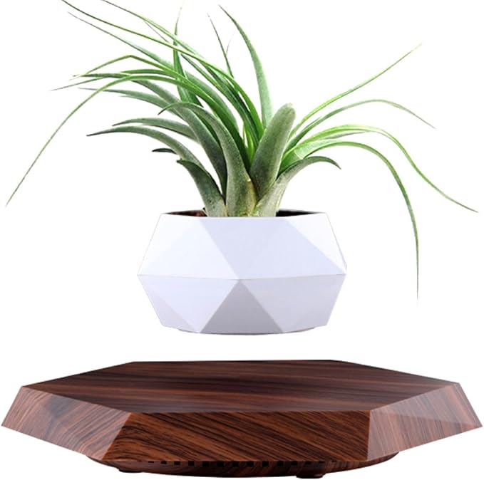 MOOCCI Floating Plant Pot Magnetic Levitating Plant Pot for Succulents, Air Bonsai and Fake Flowers and Plants, Home Office Desk Decor, Gift for Easter, Mother's, Father's Day (Brown)