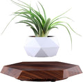MOOCCI Floating Plant Pot Magnetic Levitating Plant Pot for Succulents, Air Bonsai and Fake Flowers and Plants, Home Office Desk Decor, Gift for Easter, Mother's, Father's Day (Brown)