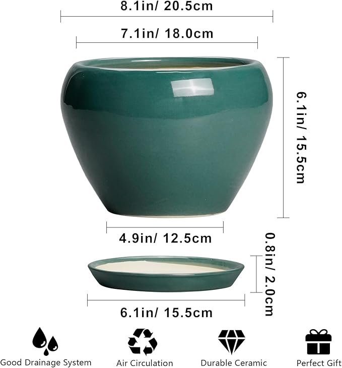 Ceramicfor 8 Inch Plant Pot - Ceramic Planter for Indoor Outdoor Plants, Glaze Modern Round Ceramic Flower Pot with Drainage Hole and Saucer, Gifts for Plant Lover, Home Office Patio Decor, Green