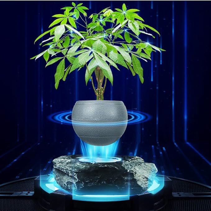 Floating Flower Pot - Magnetic Suspension Levitating Air Flower Pots - Creative Design Levitation Bonsai - Home Office Decorations - Fun Gift