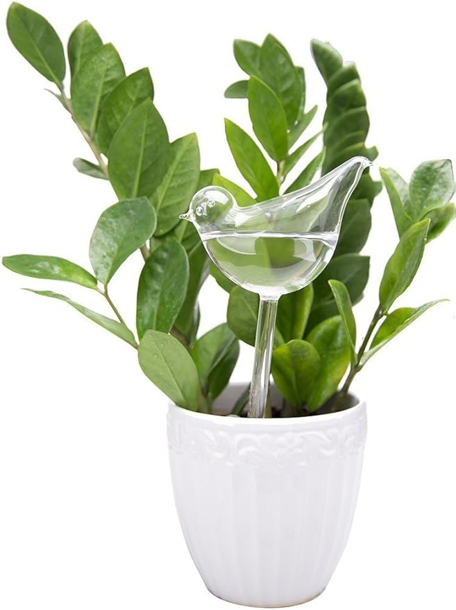 Mkono Plant Self Watering Globes Glass Water Bulbs for Planter Insert, Bird Shape Self Watering Devices Automatic Plant Waterer Spikes for Indoor Outdoor Plants, Gifts for Plant Lovers, 6 Pack