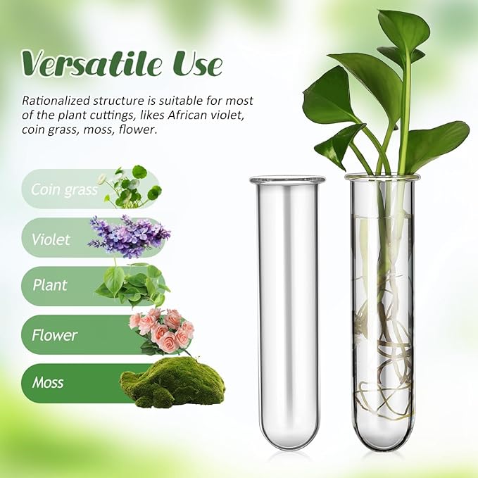Kisangel 5Pcs Plant Propagation Tubes, Glass Test Tubes Plant Propagation Station for Clear Hydroponic Flower Vase