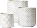 LE TAUCI Ceramic Pots for Plants, 10/8/6 Inch Indoor Planters with Draiange Hole, Silicone Plug & Mesh Pad, Modern Rasied-Dots Pots for Home Office, Set of 3, Glossy, Arctic White