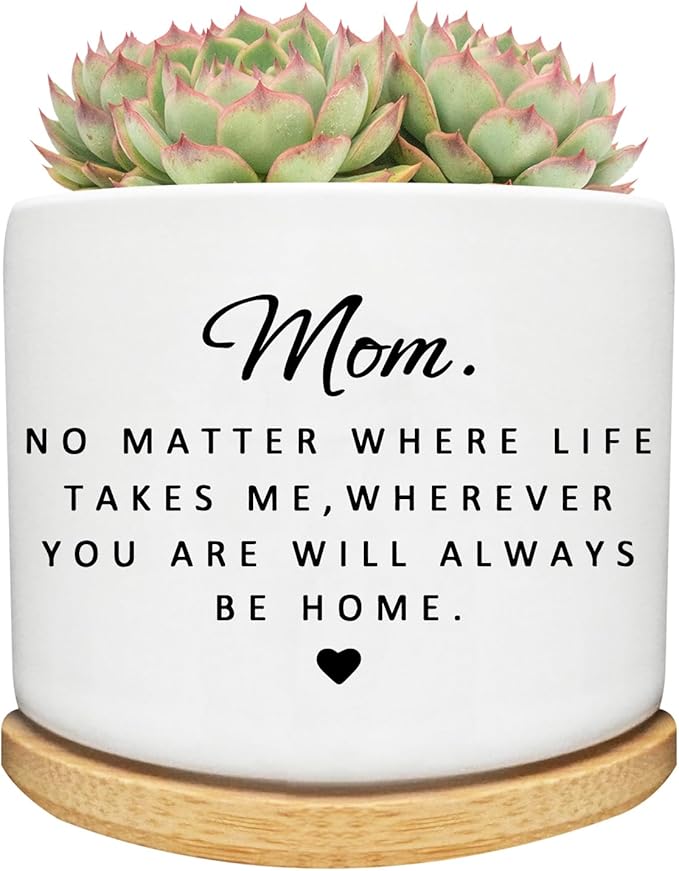 for Mom, Small Ceramic Succulent Planter Pot with Bamboo Tray, 3.5 Inch Round Flower Pot, Birthday Gifts for Mom from Daughter Son