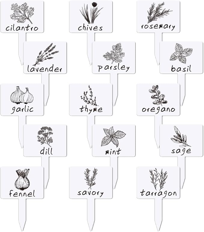 arricraft 15 Pcs Funny Acrylic Plant Labels, 15 Styles Colorful Signs with Printed Words Tags for Indoor Outdoor Greenhouse Potted Seed Herbs Patio Supplies