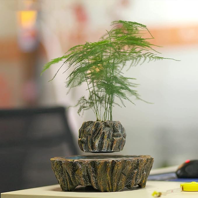 Levitating Plant Pot for Succulents, Air Bonsai & Air Plants - Magnetic Floating Planter for Home, Office & Desk Decor. Levitating Display for an Eye-catching Look