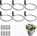 6 Pack 6 Inch Wall Plant Holder,Metal Plant Hanger Indoor,Wall Planters For Indoor Plants,Black