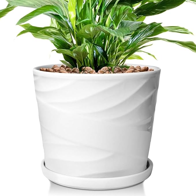 8 Inch Plant Pot,Ceramic Planter with Drainage and Saucer,Ceramic Pots for Plants,Indoor Plant pots,Ceramic Flower pots(Pure White)