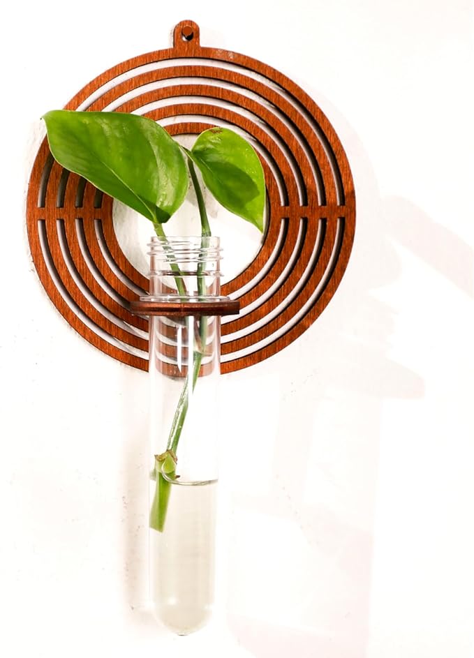 Wood Letter O Wall Propagation Station Lightweight Decorative Plant Holder for Small Cuttings, Removable Adhesive Wall Decor for Bedroom, Nursery, Office