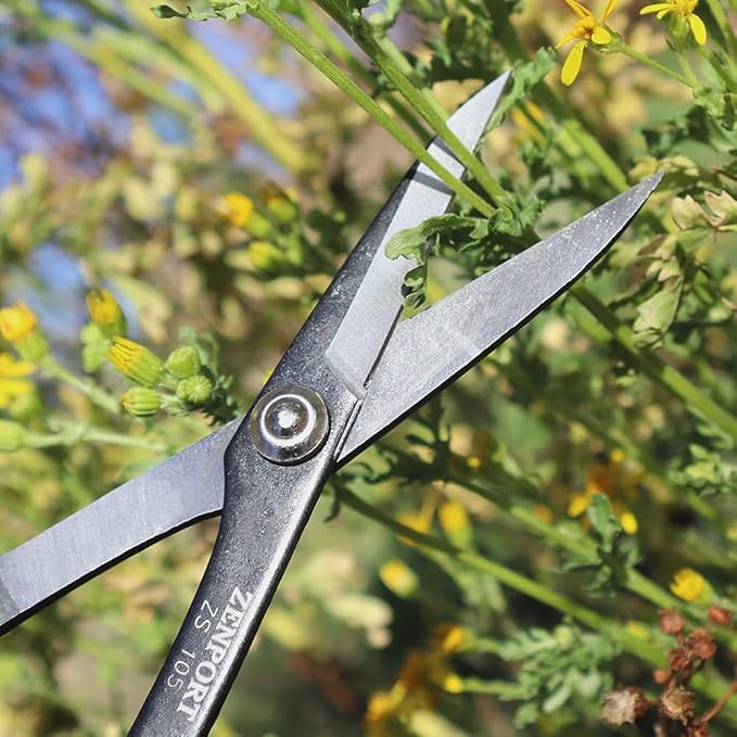 Zenport ZS105 Deluxe Scissors, 6.5-Inch Long, Horticulture & Craft Scissors with Durable Carbon Steel Blades, Precision Cutting of Plants, Garden, Fruit, and Craft Materials