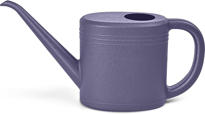 Plant Watering Can for Home Garden - with Long Spout - 1/4 Gallon - Purple