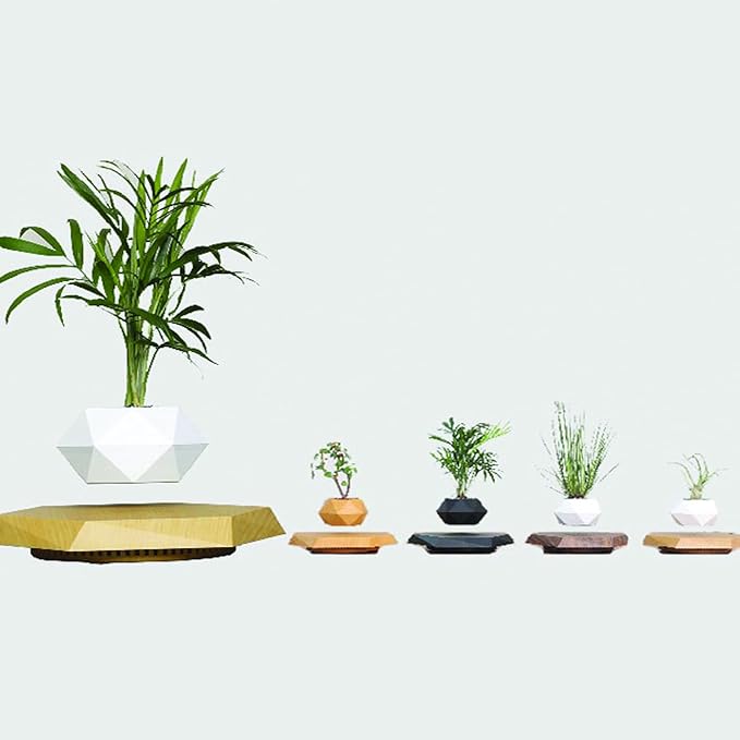 LMingKun Levitating Plant Pot - Floating Plant Pot for Small Plants. Levitating Decor for Home & Office Magnetic Floating Levitating Display (Light Wood Grain)