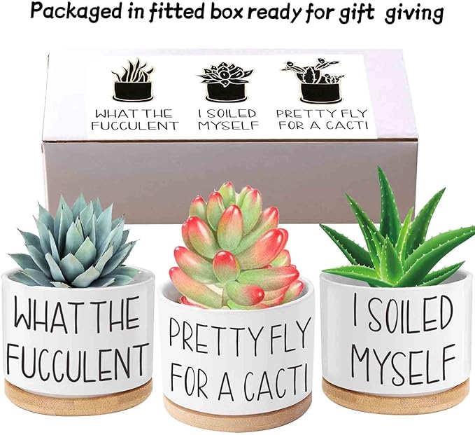 Succulent Pots, 3.15 inch Ceramic Funny Succulent Planters with Plant Labels, Small Plant Pots with Drainage Holes and Saucers, Birthday Gifts for Women, Pack of 3 - Plants Not Included