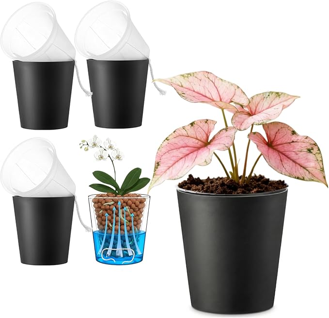 3 Pack of 6in Plastic Cachepot with 6 inch Clear nusery Pot - self Watering Indoor Planter with Drainage for Root Visibility,semi Hydro pots for repotting Orchids,Aroid or Monstera,Black