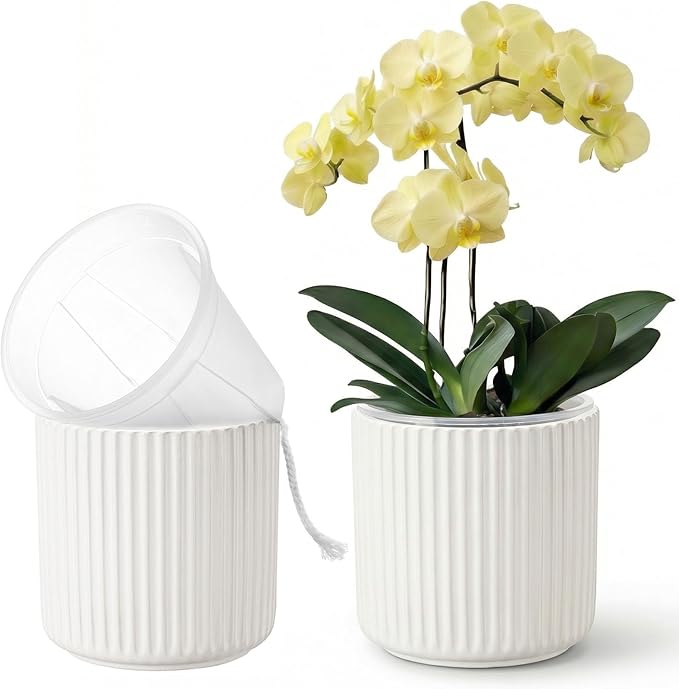 2 Pack of 6in Ceramic Cachepot with Clear Orchid Pot - self Watering Indoor Planter with Drainage for Root Visibility,semi Hydro pots for repotting Orchid,White