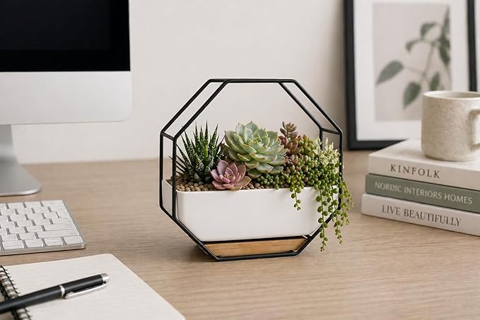 IRYL Wall Planter for Indoor Plants - Ceramic Wall Hanging Planter Set with Bamboo Tray & Hooks - Decorative Wall Plant Holder - Modern Wall Planters for Vertical Garden Home Decor - Black