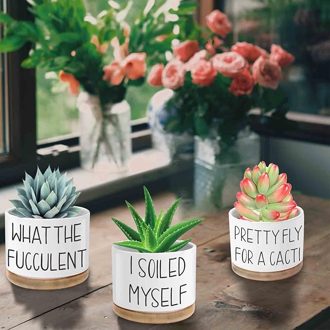 Succulent Pots, 3.15 inch Ceramic Funny Succulent Planters with Plant Labels, Small Plant Pots with Drainage Holes and Saucers, Birthday Gifts for Women, Pack of 3 - Plants Not Included