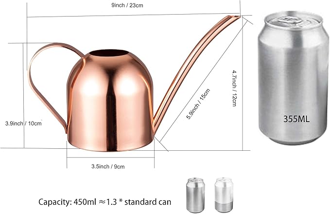 IMEEA Mini Indoor Watering Can for Small Plants, Stainless Steel with Long Spout, 15oz/450ml – Perfect for Desk, Windowsill & Bonsai