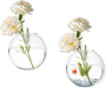 Wall Vases, Wall Hanging Planter Propagation Station, Glass Walls Vase for Flower Propagating Hydroponics Plants, Home Office Decor Present (2 Pcs)