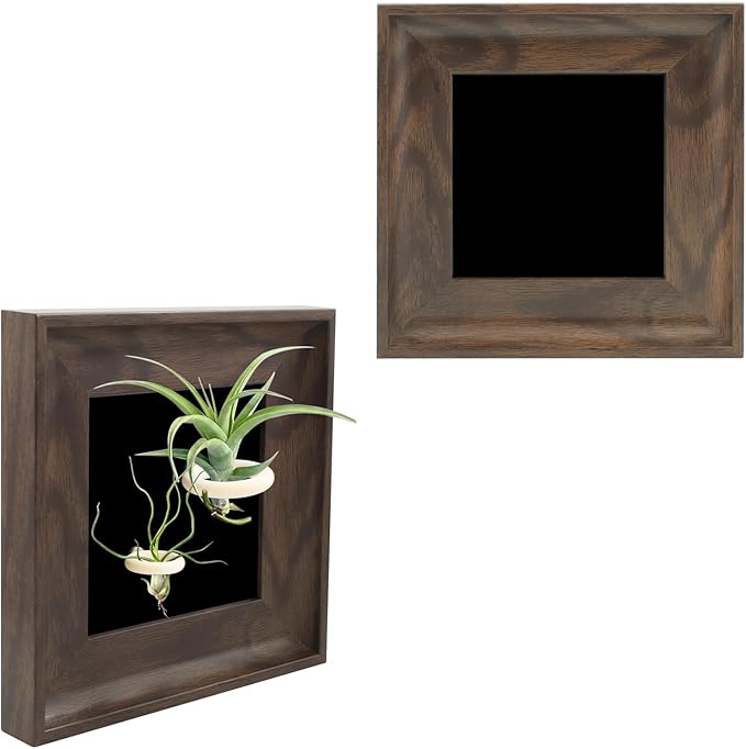 2 Sets Air Plant Holder with Display Frame, Wall Mounted Tillandsia Ionantha Magnetic Backgrounds Decoration Hanging Planter Square Frame for Home & Office (Plants Not Included)