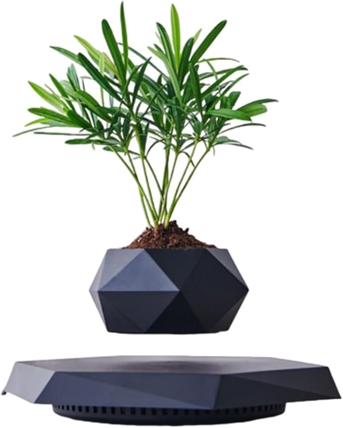 Magnetic Levitating Planter with Geometric Black Design for Home and Office Decorative Display (Black)