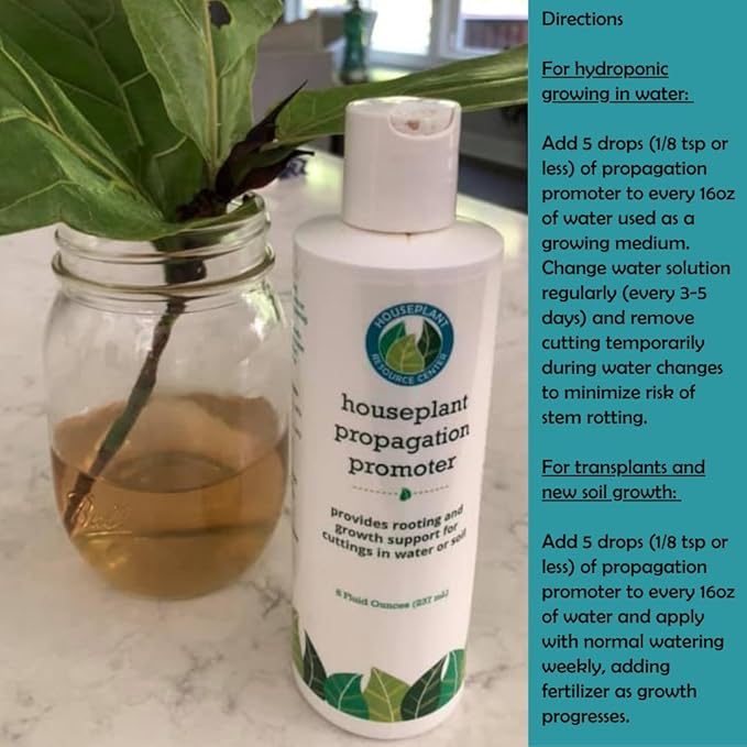 Fiddle Leaf Fig Notching Bundle