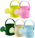 5 Pcs Kids Watering Cans, Mini Metal Plant Watering Can with Long Spout, Small Tin Flower Pots for Indoor Outdoor Gardening