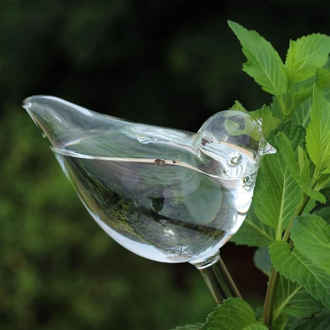 Mkono Plant Self Watering Globes Glass Water Bulbs for Planter Insert, Bird Shape Self Watering Devices Automatic Plant Waterer Spikes for Indoor Outdoor Plants, Gifts for Plant Lovers, 6 Pack