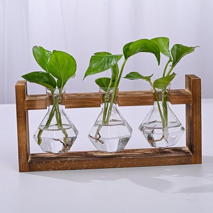 Wooden Base Glass Vase - Plant Holder & Propagation Station for Hydroponic Plants, Desktop Terrarium with Wooden Stand, Stylish Home & Office Décor, Great Gift for Plant Enthusiasts (YMFLX-3B)