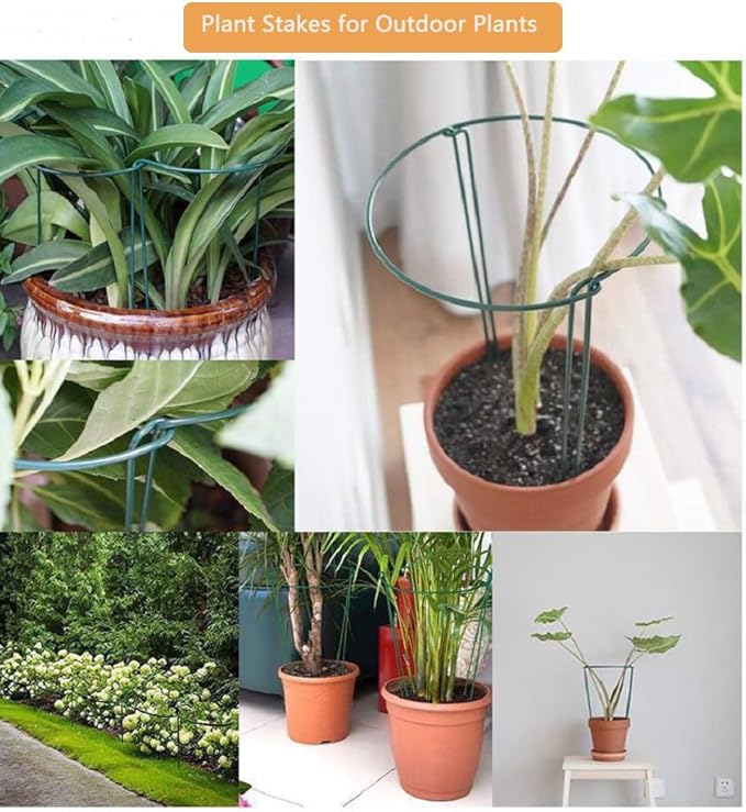 10 Pack Plant Support Stakes 16 Inch Plant Stakes for Outdoor and Indoor Plants,Peony Cages and Supports Plant Stem Support Flower Metal Stakes for Gardening Peonies Support Cages for Plants