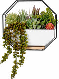 IRYL Wall Planter for Indoor Plants - Ceramic Wall Hanging Planter Set with Bamboo Tray & Hooks - Decorative Wall Plant Holder - Modern Wall Planters for Vertical Garden Home Decor - Black