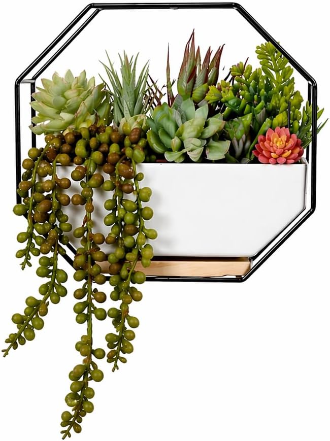 IRYL Wall Planter for Indoor Plants - Ceramic Wall Hanging Planter Set with Bamboo Tray & Hooks - Decorative Wall Plant Holder - Modern Wall Planters for Vertical Garden Home Decor - Black