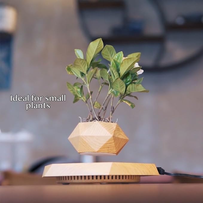 Magnetic Levitating Planter with Geometric Black Design for Home and Office Decorative Display (White)