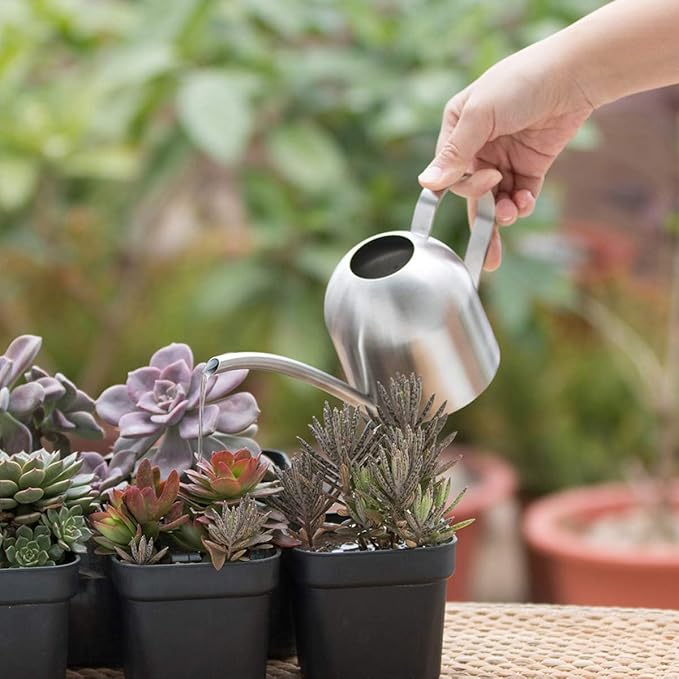 Small Watering Can for Indoor Plants, 15oz/450ml Stainless Steel Long Spout Watering Can for Succulents, Herbs (Silver)