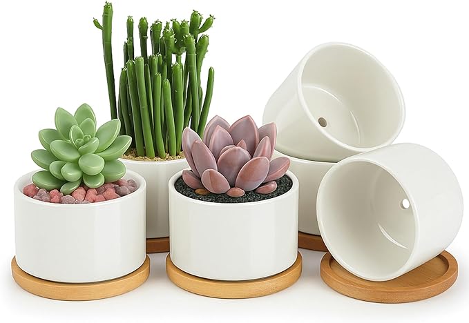 ZOUTOG Ceramic Succulent Pots,3.6 Inch Plant Pots,Succulent Planters with Drainage Hole & Bamboo Tray for Indoor Plants,White Small Flower Planters for Home,Office,Desk(6 Pack)