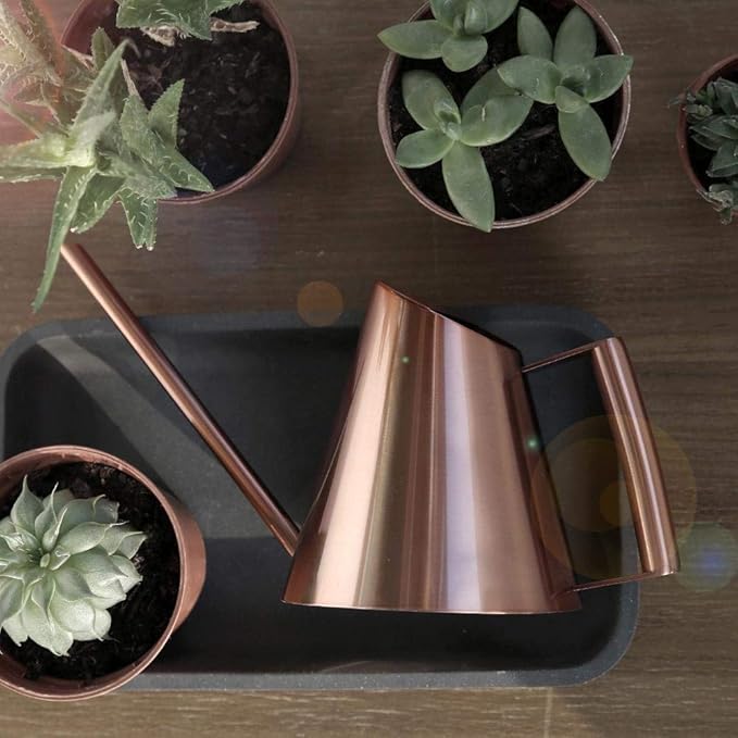 Household Bonsai Stainless Steel Watering Can, Mini Brushed Indoor House Plants Long Spout Watering Can Modern Watering Pot, Rose Gold(M)