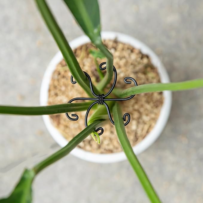 Yohsnor Monstera Plant Stem Support Set - 2.75x2.75 inches 5 Durable Fishbone Design Stabilizers for Indoor Climbing Plants - Perfect Leaf Holders & Gifts for Plant Lovers