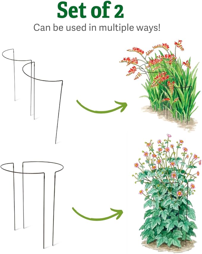 Gardener's Supply Company Jardin Half Round Metal Garden Plant Stakes | Sturdy Powder Coated Metal Outdoor Garden Plant Support Ring Border for Tomatoes, Flowers & Other Plants | 18" x 35" - Set of 2