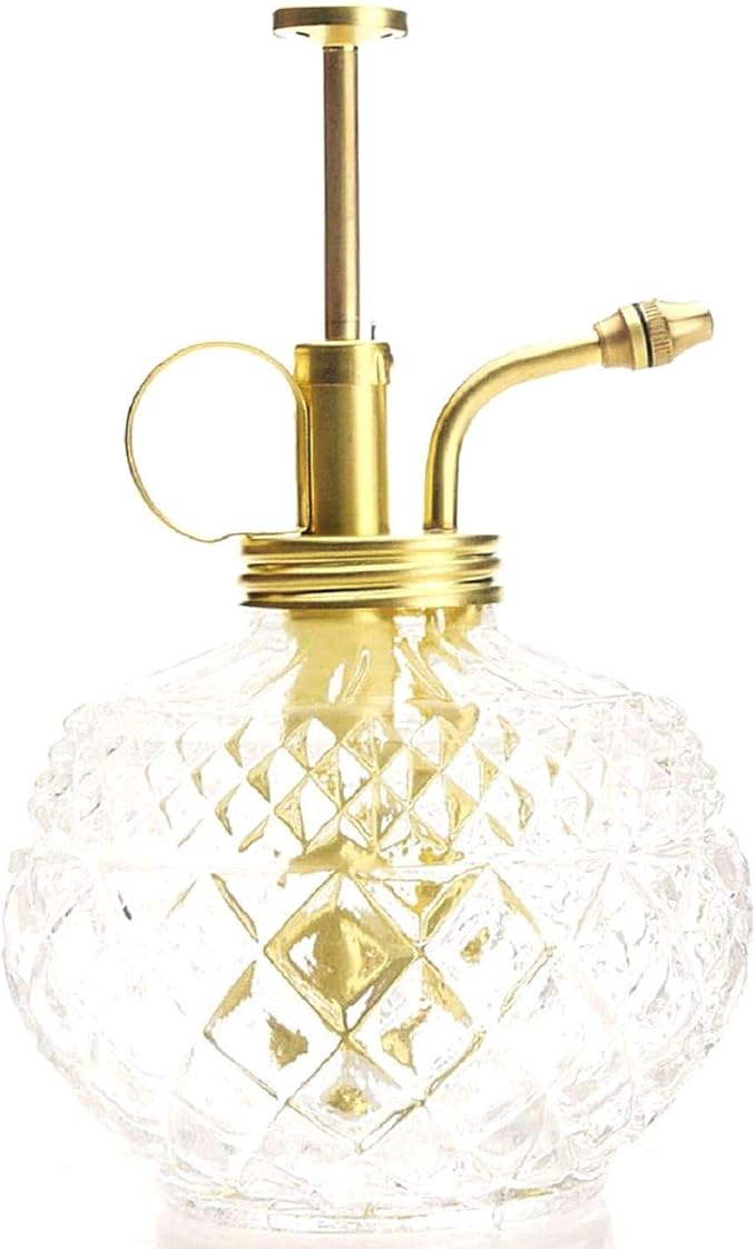 Plant Mister- Clear Color Glass Bottle & Brass Sprayer (Matt Gold)